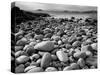 Stony Beach on Knoydart Peninsula, Western Scotland-Pete Cairns-Stretched Canvas