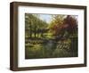 Stony Creek-Lene Alston Casey-Framed Art Print