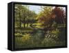 Stony Creek-Lene Alston Casey-Framed Stretched Canvas