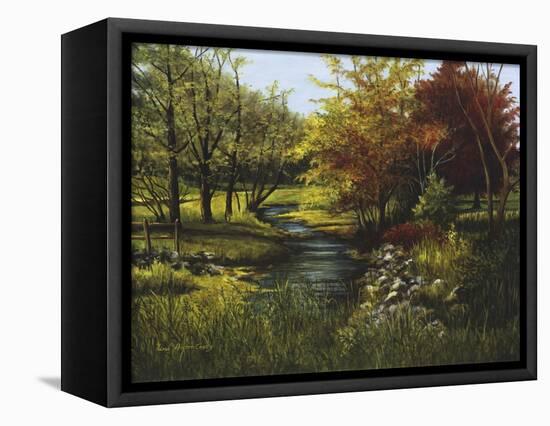 Stony Creek-Lene Alston Casey-Framed Stretched Canvas