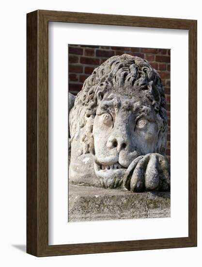 Stony Lion on the Town Hall Tower on Main Market Square in Cracow in Poland-mychadre77-Framed Photographic Print