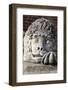 Stony Lion on the Town Hall Tower on Main Market Square in Cracow in Poland-mychadre77-Framed Photographic Print