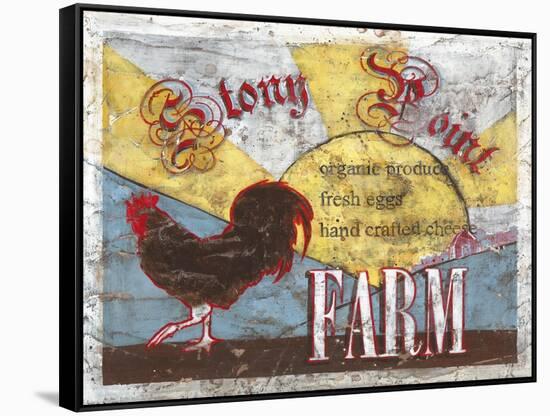 Stony Point Farm-Catherine Jones-Framed Stretched Canvas