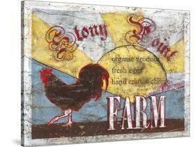 Stony Point Farm-Catherine Jones-Stretched Canvas