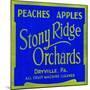 Stony Ridge Orchards Peaches and Apples-null-Mounted Art Print