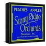 Stony Ridge Orchards Peaches and Apples-null-Framed Stretched Canvas