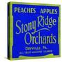 Stony Ridge Orchards Peaches and Apples-null-Stretched Canvas