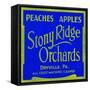 Stony Ridge Orchards Peaches and Apples-null-Framed Stretched Canvas