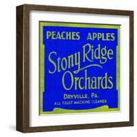Stony Ridge Orchards Peaches and Apples-null-Framed Art Print
