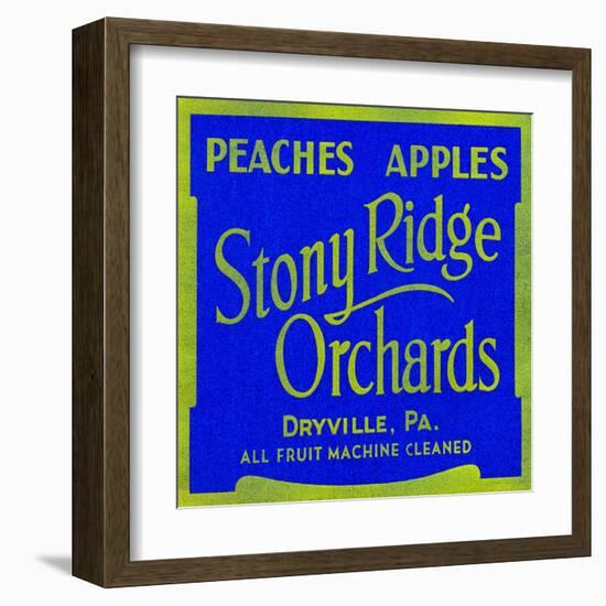 Stony Ridge Orchards Peaches and Apples-null-Framed Art Print