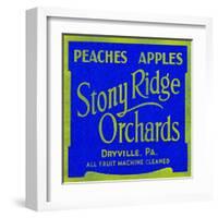 Stony Ridge Orchards Peaches and Apples-null-Framed Art Print