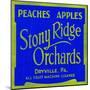 Stony Ridge Orchards Peaches and Apples-null-Mounted Art Print