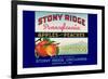 Stony Ridge Pennsylvania Apples and Peaches-null-Framed Art Print