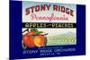 Stony Ridge Pennsylvania Apples and Peaches-null-Mounted Art Print