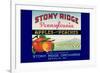 Stony Ridge Pennsylvania Apples and Peaches-null-Framed Premium Giclee Print