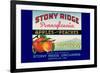Stony Ridge Pennsylvania Apples and Peaches-null-Framed Premium Giclee Print