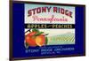 Stony Ridge Pennsylvania Apples and Peaches-null-Framed Art Print