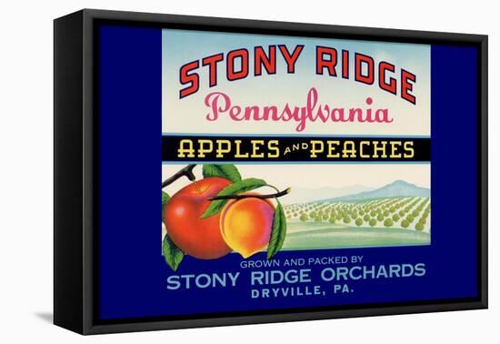 Stony Ridge Pennsylvania Apples and Peaches-null-Framed Stretched Canvas