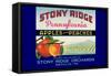 Stony Ridge Pennsylvania Apples and Peaches-null-Framed Stretched Canvas