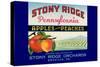 Stony Ridge Pennsylvania Apples and Peaches-null-Stretched Canvas