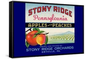 Stony Ridge Pennsylvania Apples and Peaches-null-Framed Stretched Canvas