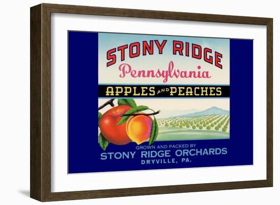 Stony Ridge Pennsylvania Apples and Peaches-null-Framed Art Print