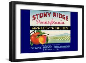 Stony Ridge Pennsylvania Apples and Peaches-null-Framed Art Print