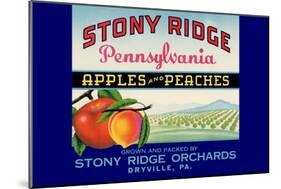 Stony Ridge Pennsylvania Apples and Peaches-null-Mounted Art Print