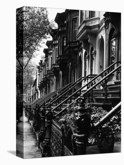 Stoops on 19th Century Brooklyn Row Houses-Karen Tweedy-Holmes-Stretched Canvas