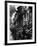 Stoops on 19th Century Brooklyn Row Houses-Karen Tweedy-Holmes-Framed Photographic Print