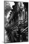 Stoops on 19Th Century Brooklyn Row Houses-Karen Tweedy-Holmes-Mounted Photographic Print