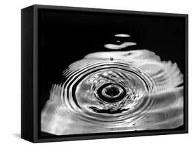 Stop-Action Photograph of Drop of Water as it Falls and Finally Splashes-Gjon Mili-Framed Stretched Canvas