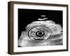 Stop-Action Photograph of Drop of Water as it Falls and Finally Splashes-Gjon Mili-Framed Photographic Print
