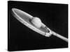 Stop Action Shot of Ball Impacting Tennis Racquet-Gjon Mili-Stretched Canvas