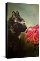 Stop and Smell the Flowers-Jai Johnson-Stretched Canvas