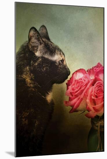 Stop and Smell the Flowers-Jai Johnson-Mounted Giclee Print