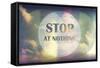 Stop at Nothing-Vintage Skies-Framed Stretched Canvas