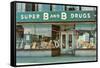 Store Front Drug Store-null-Framed Stretched Canvas