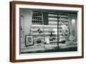 Brown Frame