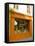 Storefront, Arles, Provence, France-Lisa S. Engelbrecht-Framed Stretched Canvas