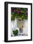 Storefront with Colorful Bougainvillea-Darrell Gulin-Framed Photographic Print