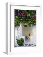 Storefront with Colorful Bougainvillea-Darrell Gulin-Framed Photographic Print