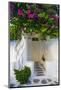 Storefront with Colorful Bougainvillea-Darrell Gulin-Mounted Photographic Print