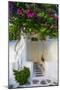 Storefront with Colorful Bougainvillea-Darrell Gulin-Mounted Photographic Print