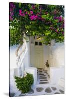 Storefront with Colorful Bougainvillea-Darrell Gulin-Stretched Canvas