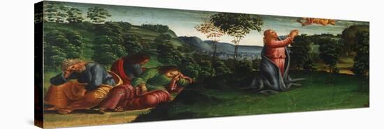 Stories of Christ: Christ in Garden of Gethsemane-Luca Signorelli-Stretched Canvas