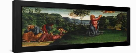 Stories of Christ: Christ in Garden of Gethsemane-Luca Signorelli-Framed Giclee Print