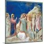 Stories of Christ the Raising of Lazarus-Giotto di Bondone-Mounted Giclee Print