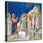 Stories of Christ the Raising of Lazarus-Giotto di Bondone-Stretched Canvas