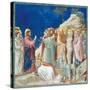 Stories of Christ the Raising of Lazarus-Giotto di Bondone-Stretched Canvas